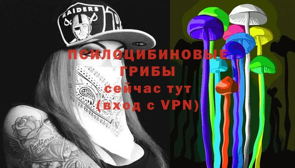 крисы Верхнеуральск